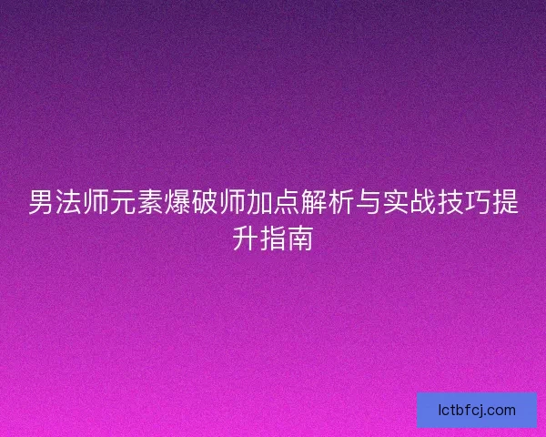 男法师元素爆破师加点解析与实战技巧提升指南