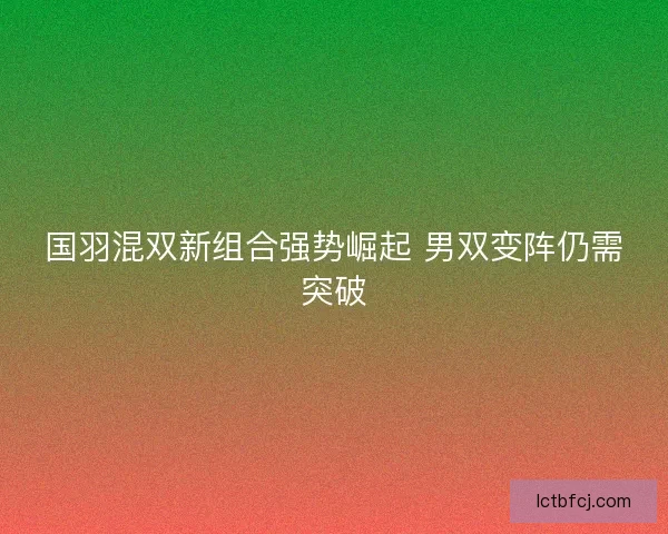 国羽混双新组合强势崛起 男双变阵仍需突破