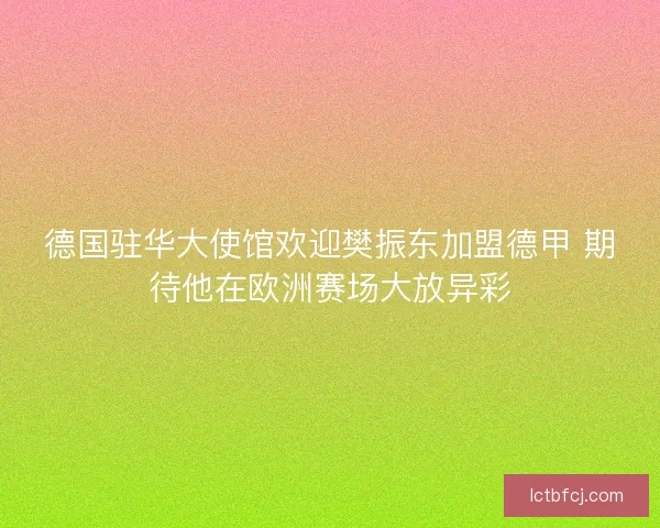 德国驻华大使馆欢迎樊振东加盟德甲 期待他在欧洲赛场大放异彩
