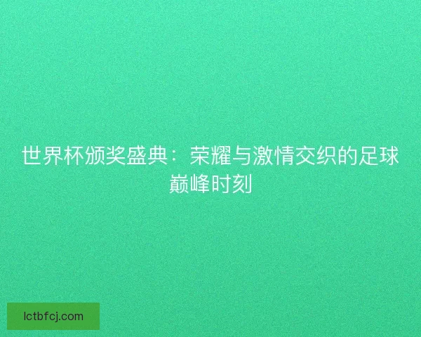 世界杯颁奖盛典：荣耀与激情交织的足球巅峰时刻
