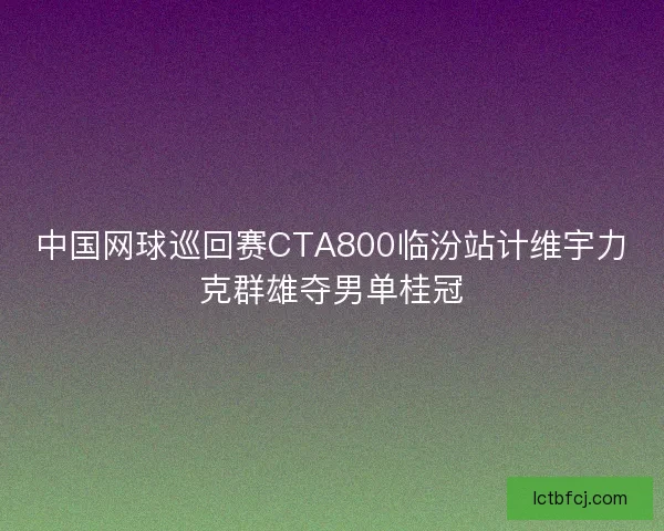 中国网球巡回赛CTA800临汾站计维宇力克群雄夺男单桂冠