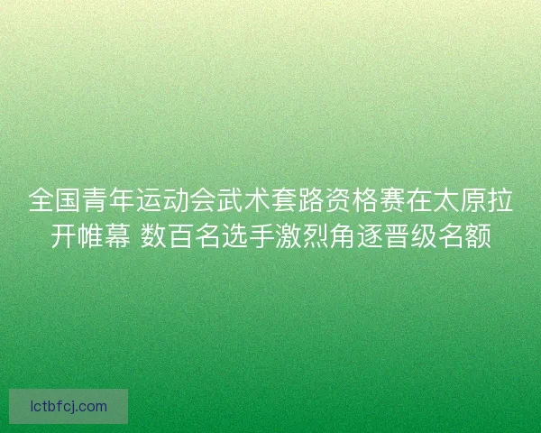 全国青年运动会武术套路资格赛在太原拉开帷幕 数百名选手激烈角逐晋级名额